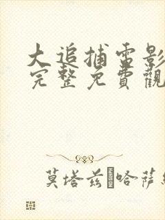 大追捕电影在线完整免费观看国语