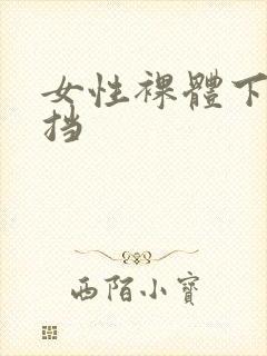 女性裸体下无遮挡封面