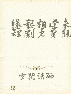 缘起相逢未识时短剧免费观看全集封面