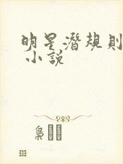 明星潜规则之皇 小说