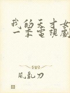 我的天才女友第一季电视剧免费观看封面