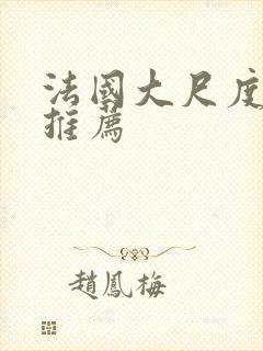 法国大尺度电影推荐