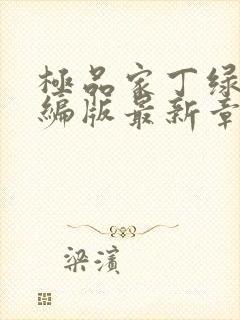 极品家丁绿帽改编版最新章节免费阅读