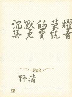 沉默的荣耀40集免费观看全集高清爱奇