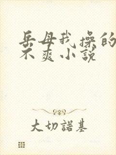 岳母我操的你爽不爽小说