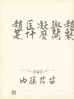 赵匡凝与赵匡胤是什么关系封面