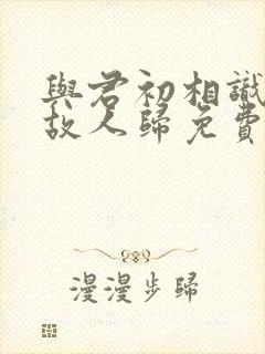 与君初相识恰似故人归免费观看完整