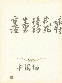 重生后我嫁给了渣男的死对头32章