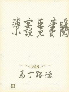 薄宴臣唐暖宁的小说免费阅读封面