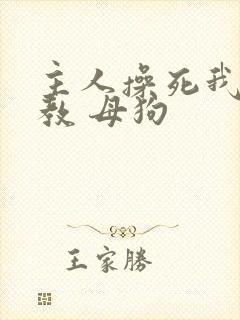 主人操死我 调教 母狗