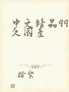 中文精品99久久国产封面