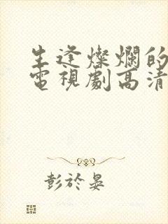 生逢灿烂的日子电视剧高清免费观看