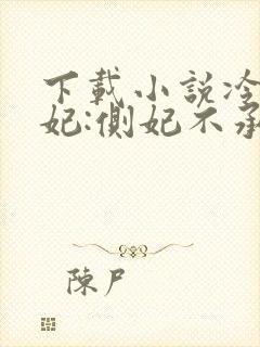 下载小说冷王盗妃:侧妃不承欢