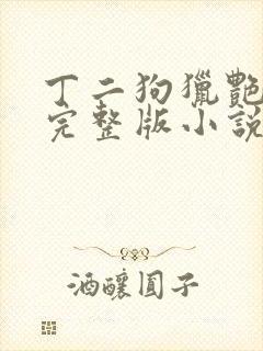 丁二狗猎艳人生完整版小说
