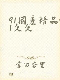 91国产精品91久久封面