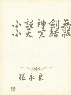 小说神剑无敌杨小天完结版封面