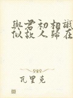 与君初相识,恰似故人归在线观看