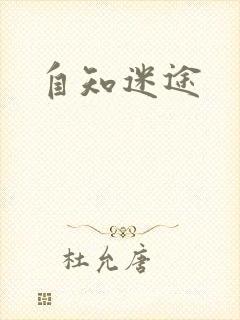 自知迷途