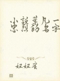 小说叶凡一门十忠烈的名字