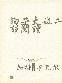 狗子大姐二姐小说阅读
