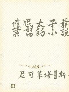 催眠太子爷变成禁胬的小说