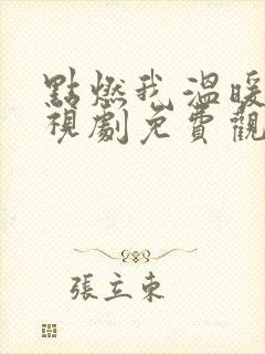 点燃我温暖你电视剧免费观看不卡