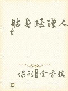 贴身经理人txt封面