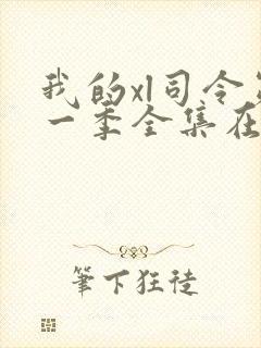 我的xl司令第一季全集在线观看