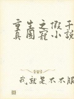 重生之假千金是真团宠小说