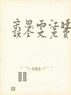 宋思雨江晓海小说全文免费阅读封面