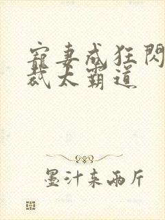 宠妻成狂闪婚总裁太霸道