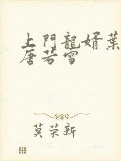 上门龙婿叶凡与唐若雪