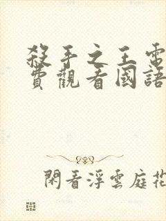 杀手之王电影免费观看国语完整版封面