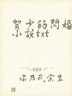贺少的闪婚暖妻小说txt封面