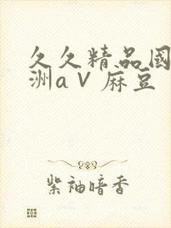 久久精品国产亚洲a∨麻豆