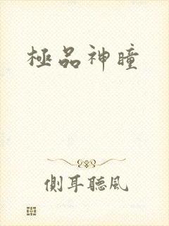 极品神瞳
