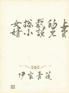 女总裁的上门女婿小说免费听书