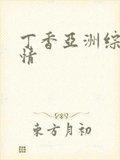 丁香亚洲综合激情封面