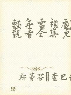 轻年电视剧在线观看全集免费播放封面