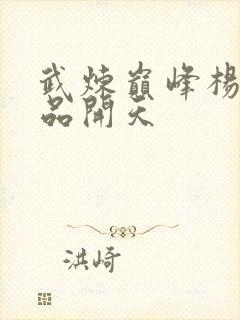 武炼巅峰杨开几品开天封面