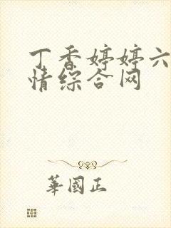丁香婷婷六月激情综合网封面