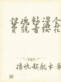 银魂动漫全集免费观看樱花动漫