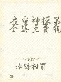 夜灵神探第一季全集免费观看高清