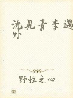 沈见青李遇泽番外