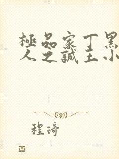 极品家丁黑暗同人之诚王小说封面