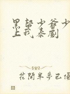 黑帮少爷少爷爱上我泰剧封面