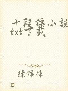 十段锦小说全本txt下载封面