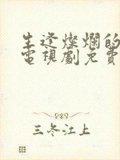 生逢灿烂的日子电视剧免费观看