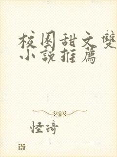 校园甜文双男主小说推荐封面