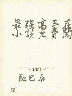 最强高手在都市小说免费阅读全文封面